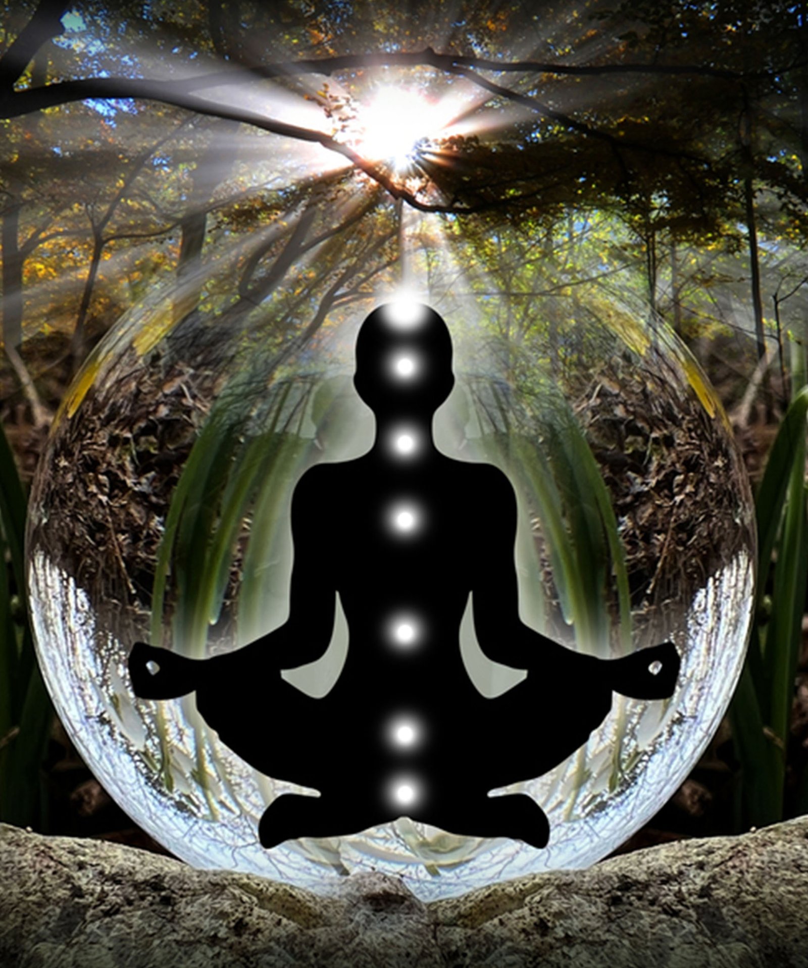 Consultation à la Carte